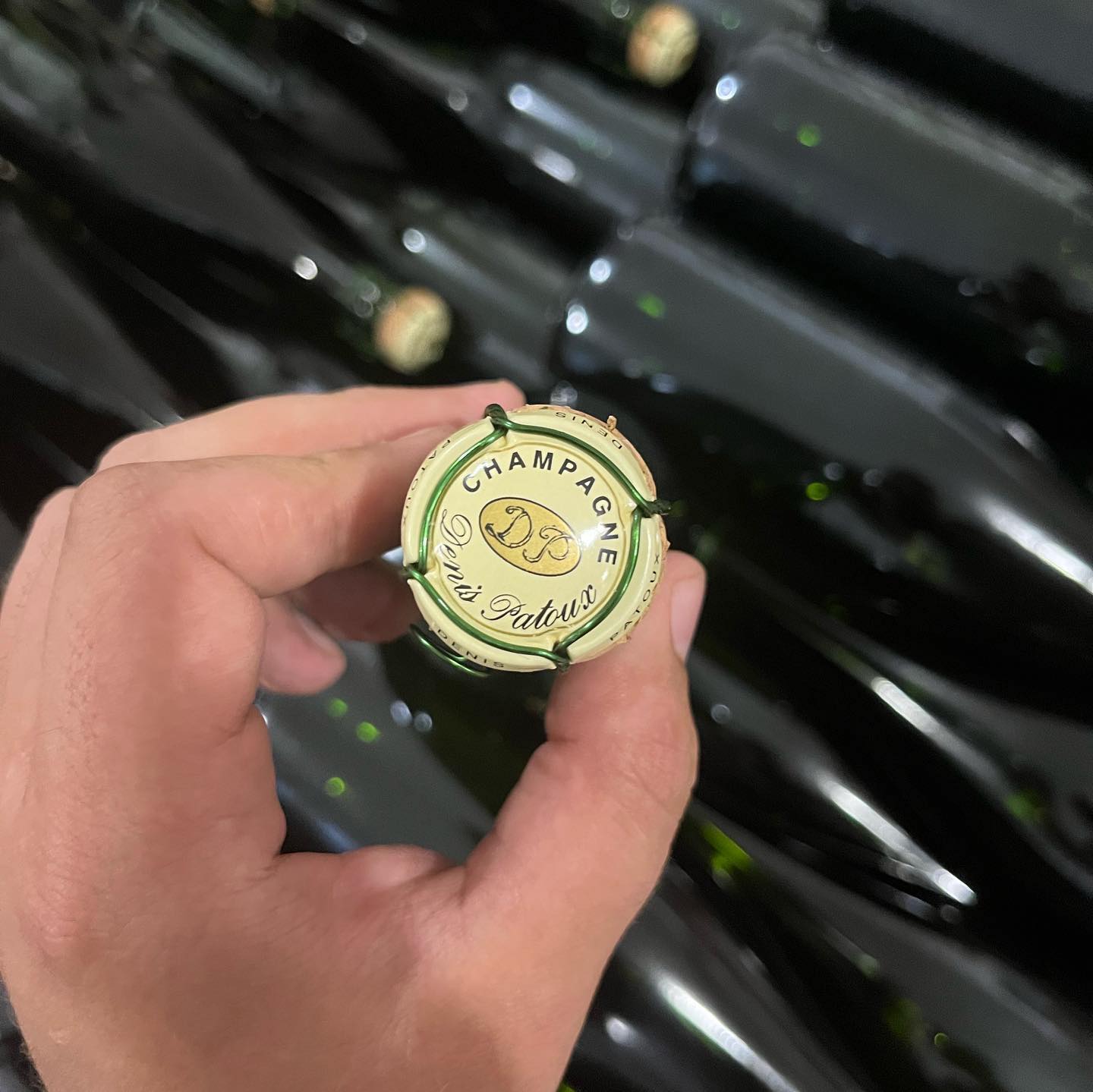 Denis Patoux Vintage 2009