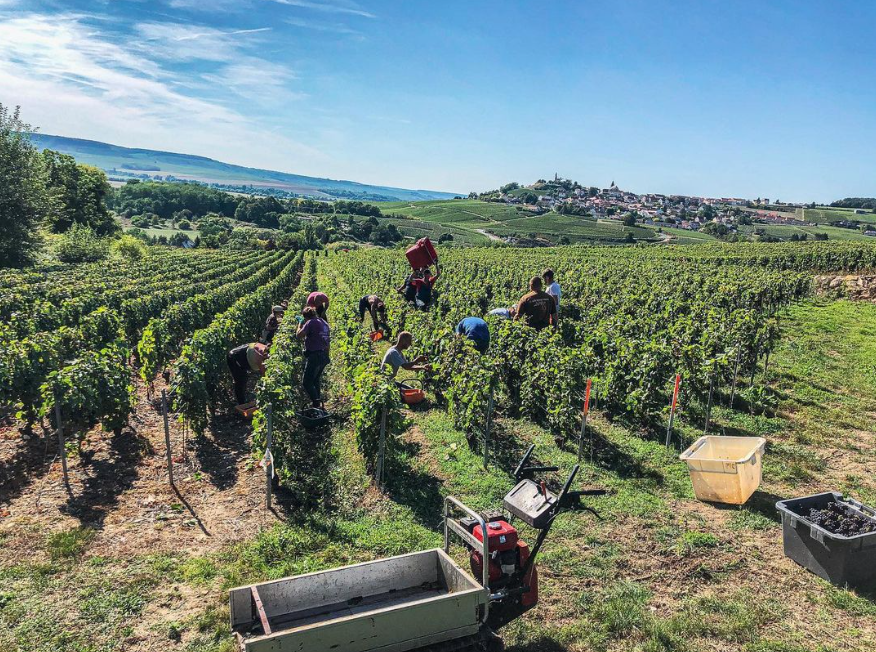 Charlier et Fils Champagne Production